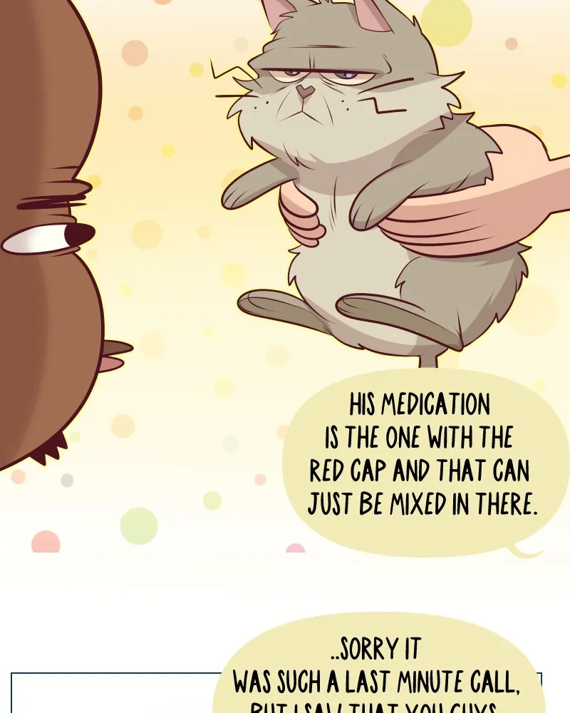 Vibe Check! Chapter 132 page 16 - 