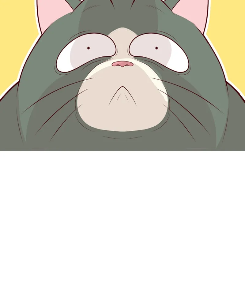 Vibe Check! Chapter 66 page 4 - 