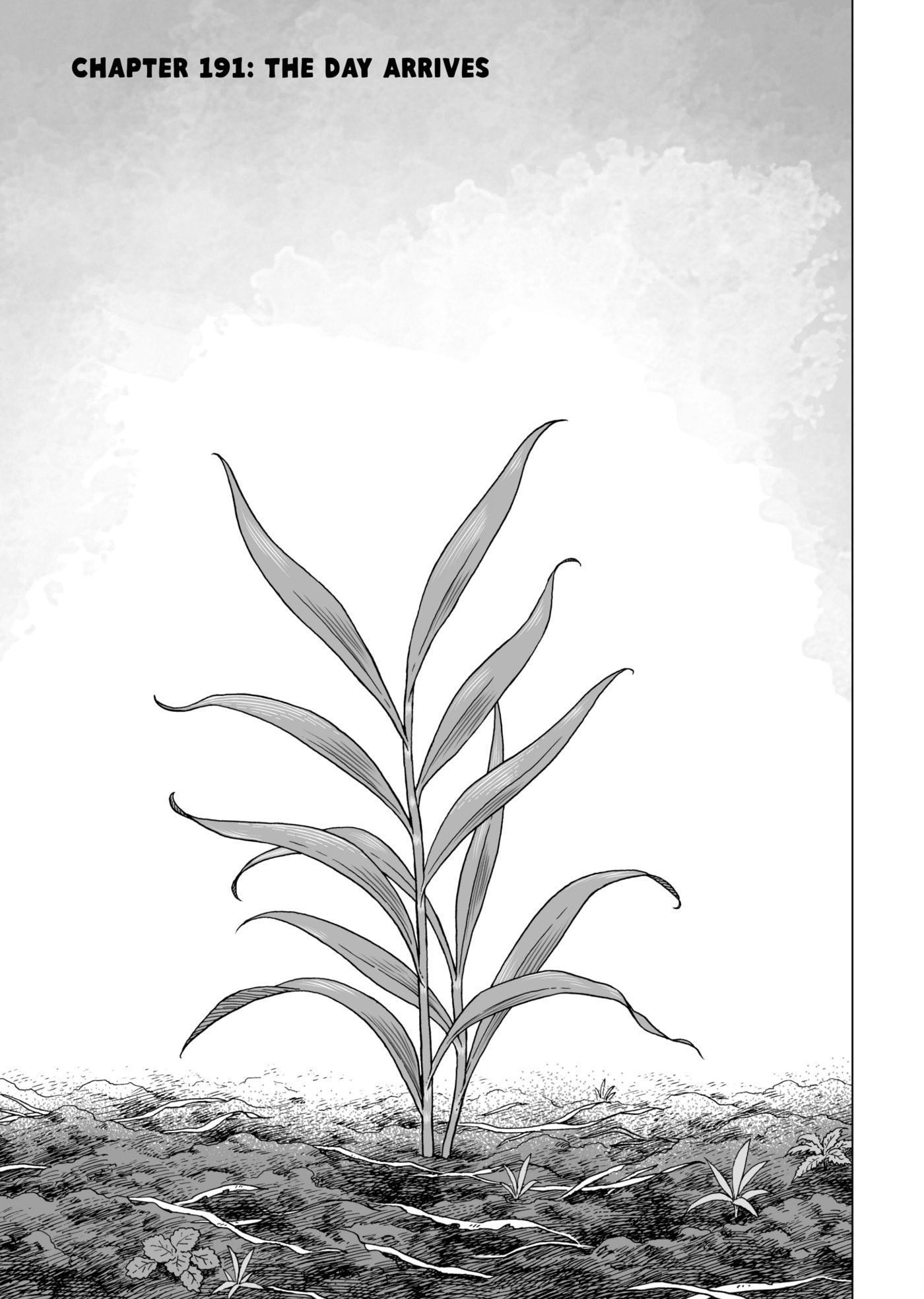 Vinland Saga Chapter 191 page 1 - 
