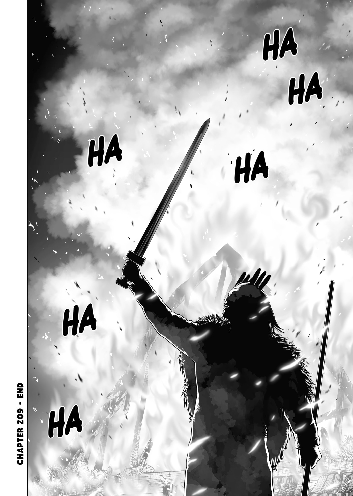 Vinland Saga Chapter 209 page 17 - 