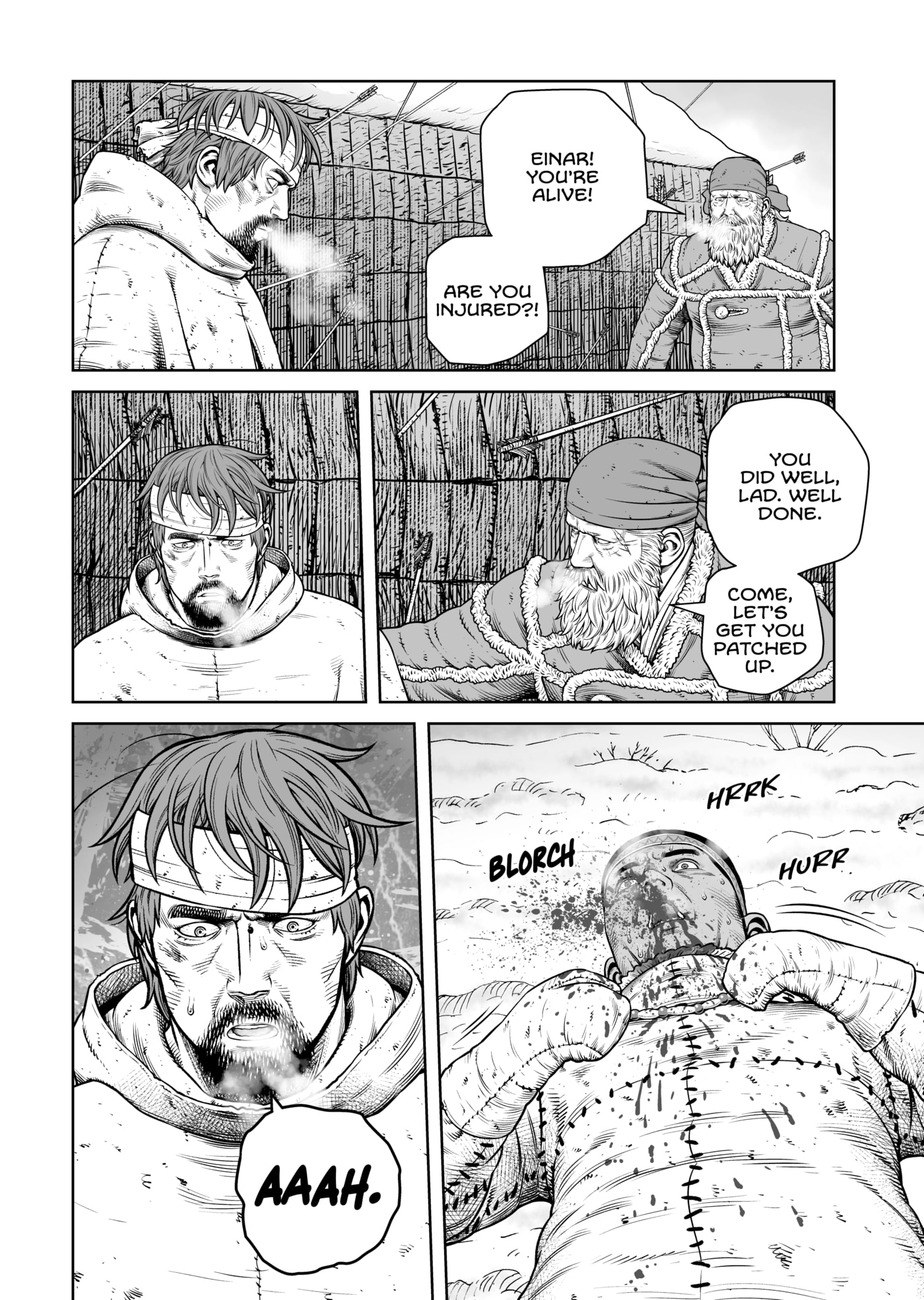Vinland Saga Chapter 215 page 14 - 