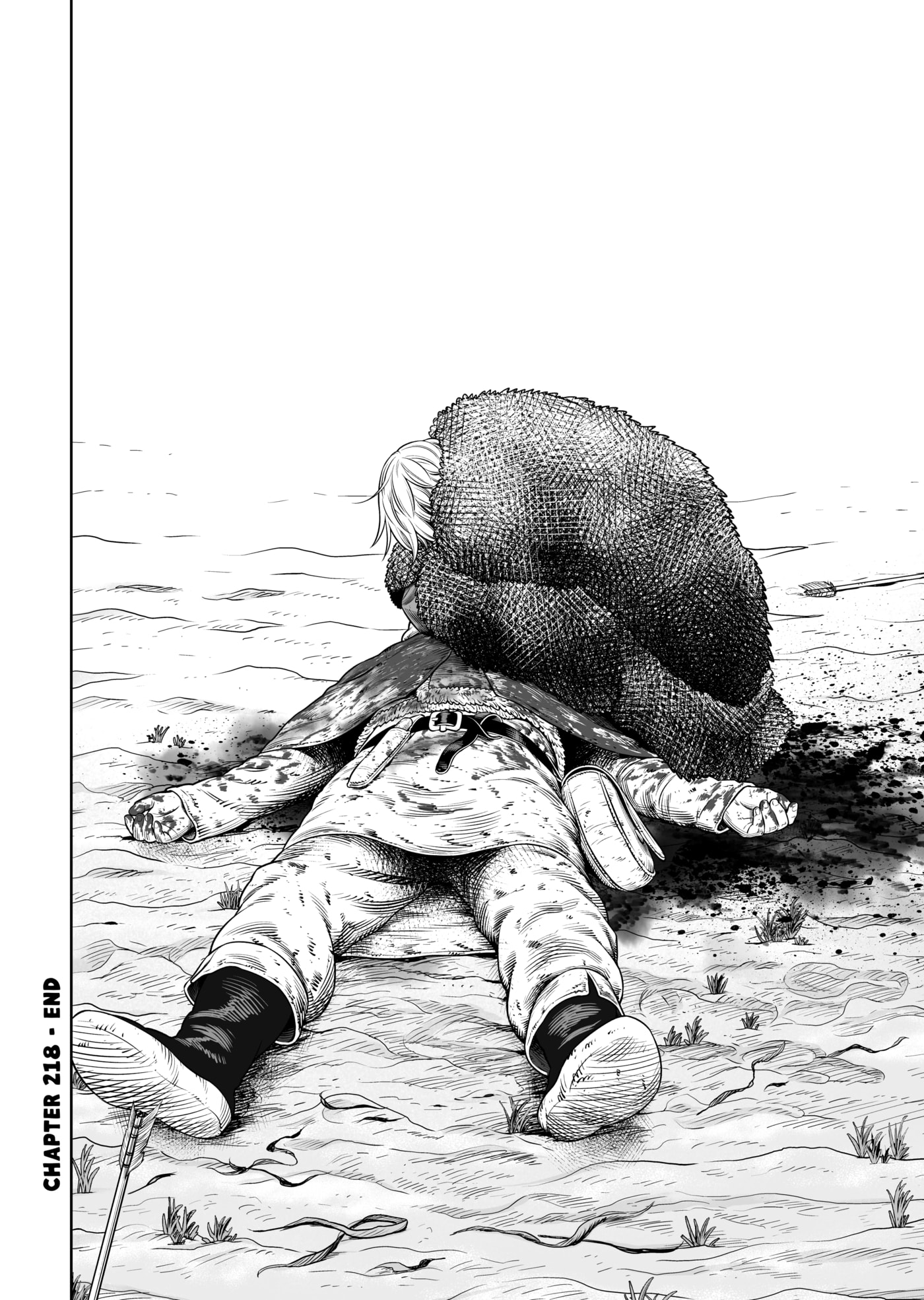 Vinland Saga Chapter 218 page 28 - 