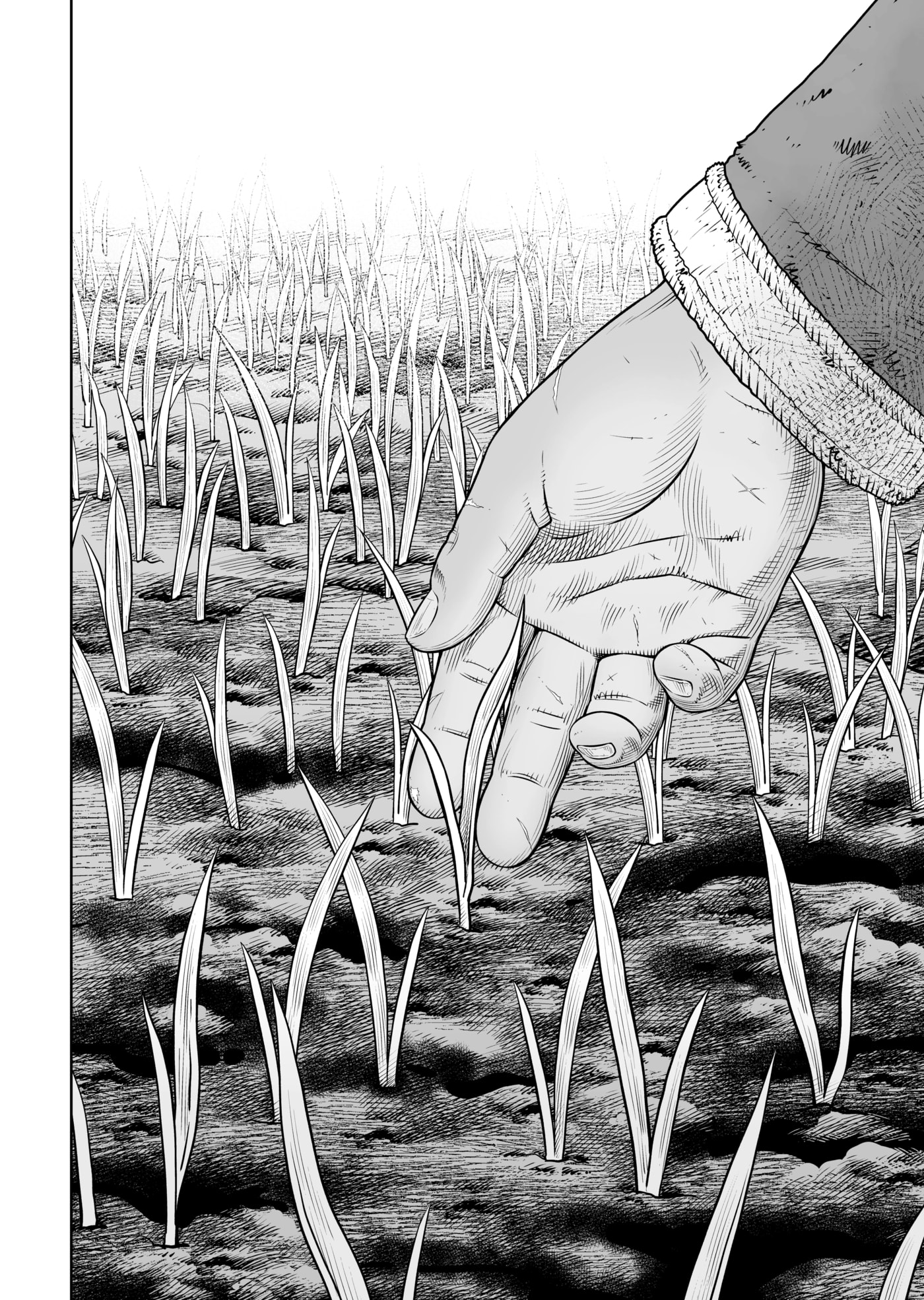 Vinland Saga Chapter 220 page 27 - 