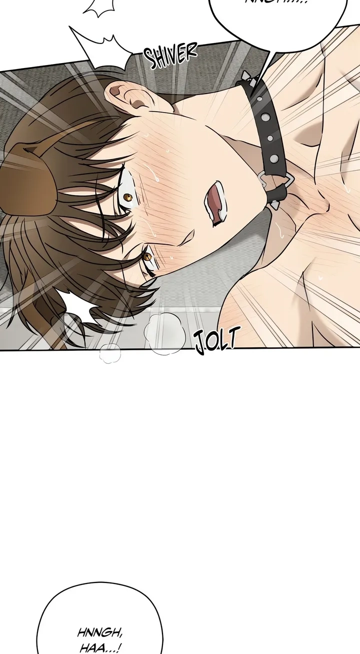 Viper Chapter 57 page 72 - 