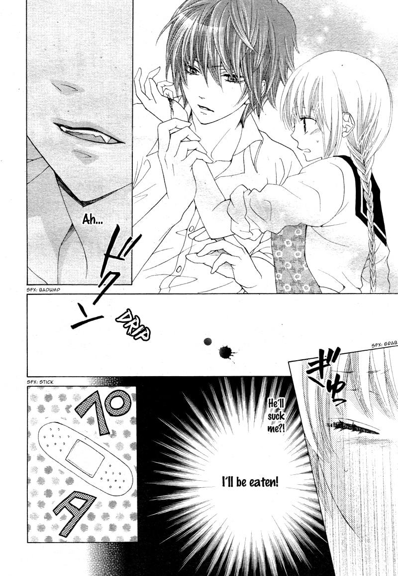 Virgin Blood - Hiiro no Bansan Chapter 4 page 13 - 