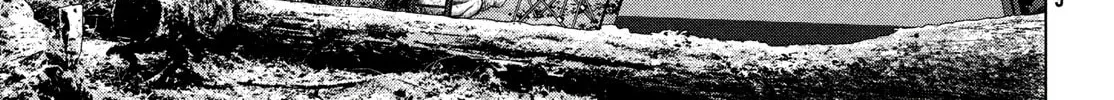 Virgin Extinction Island Chapter 39 page 22 - 