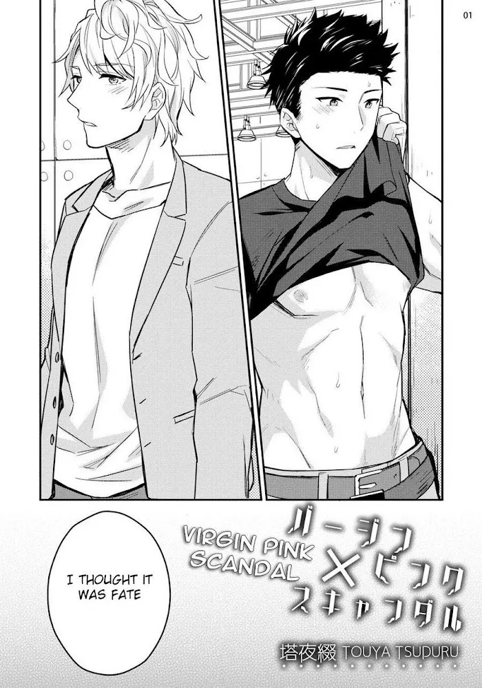 Virgin Pink Scandal Chapter 1 page 2 - 