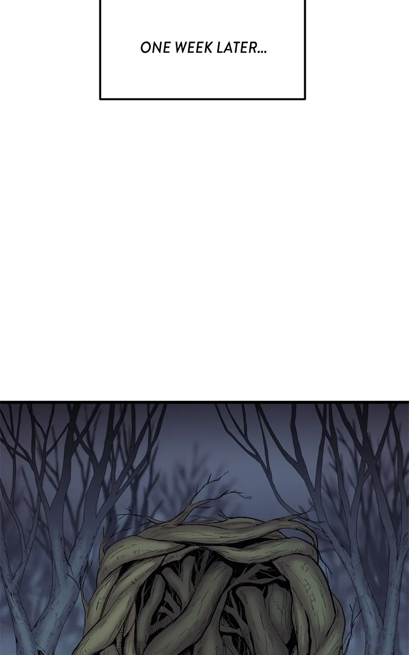 Wail of a Dragon’s Rage Chapter 25 page 67 - 