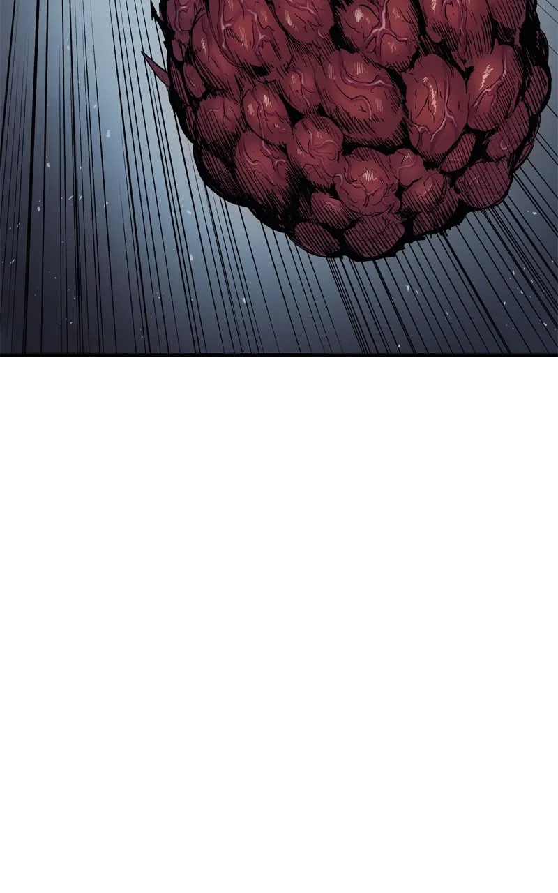 Wail of a Dragon’s Rage Chapter 26 page 70 - 