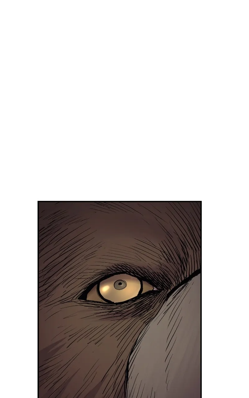 Wail of a Dragon’s Rage Chapter 65 page 74 - 