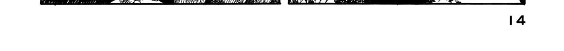 Wandering Island Chapter 0 page 32 - 