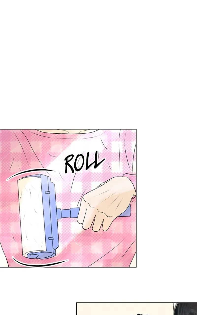 Want to See My Cat? Chapter 1 page 1 - 