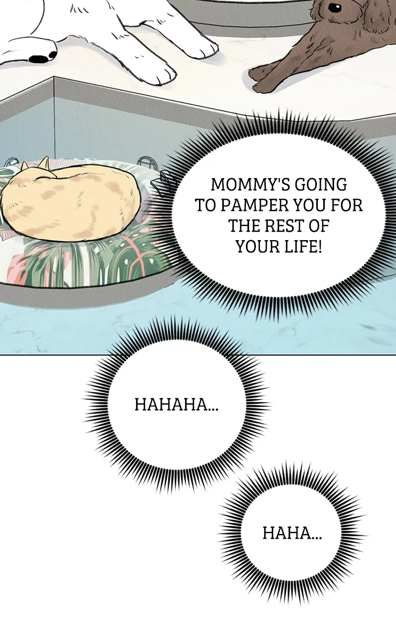 Want to See My Cat? Chapter 1 page 111 - 