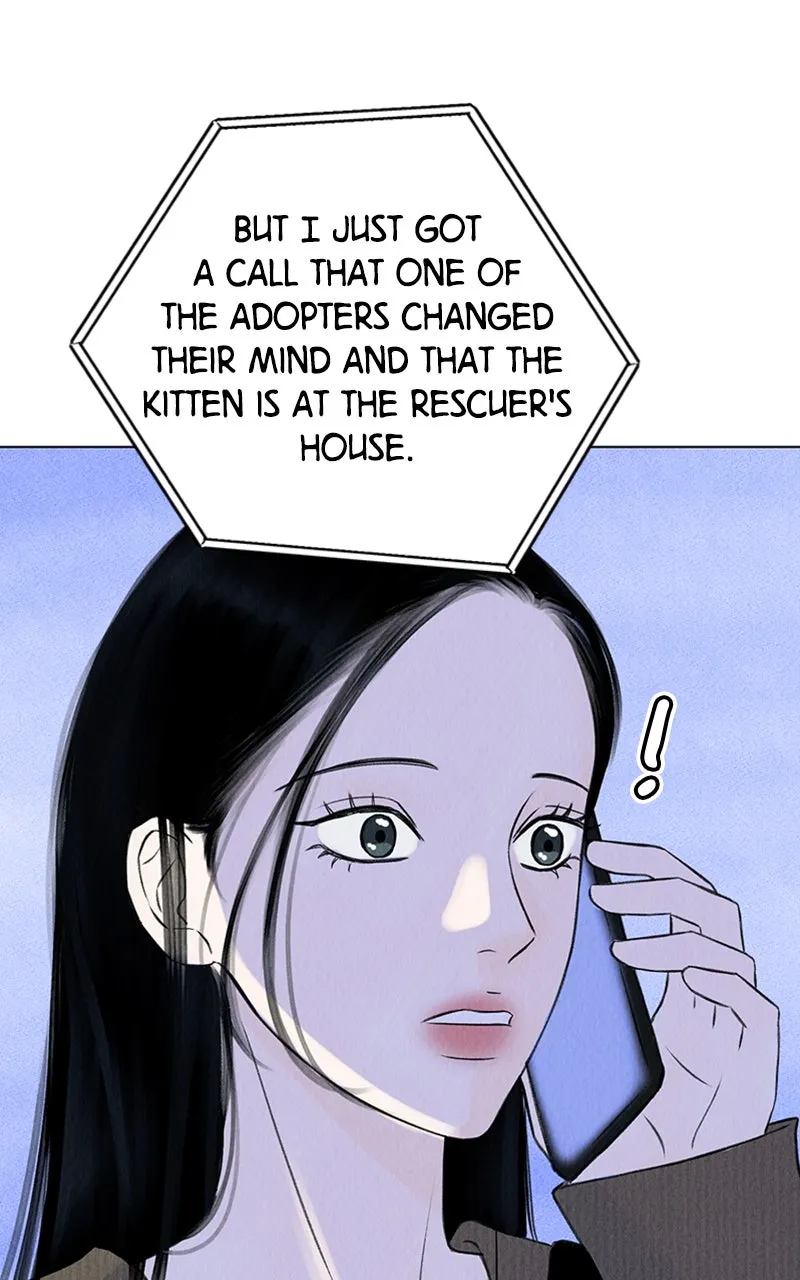 Want to See My Cat? Chapter 1 page 132 - 