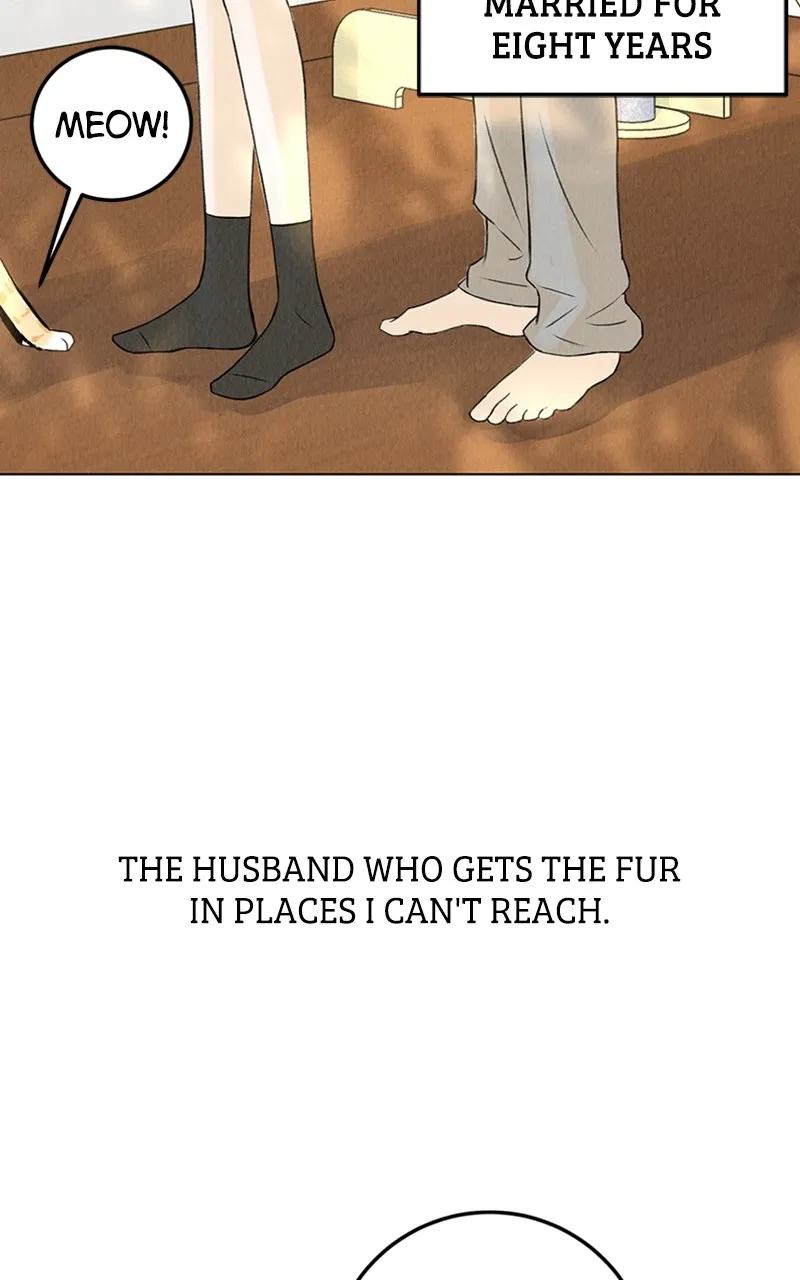 Want to See My Cat? Chapter 1 page 7 - 