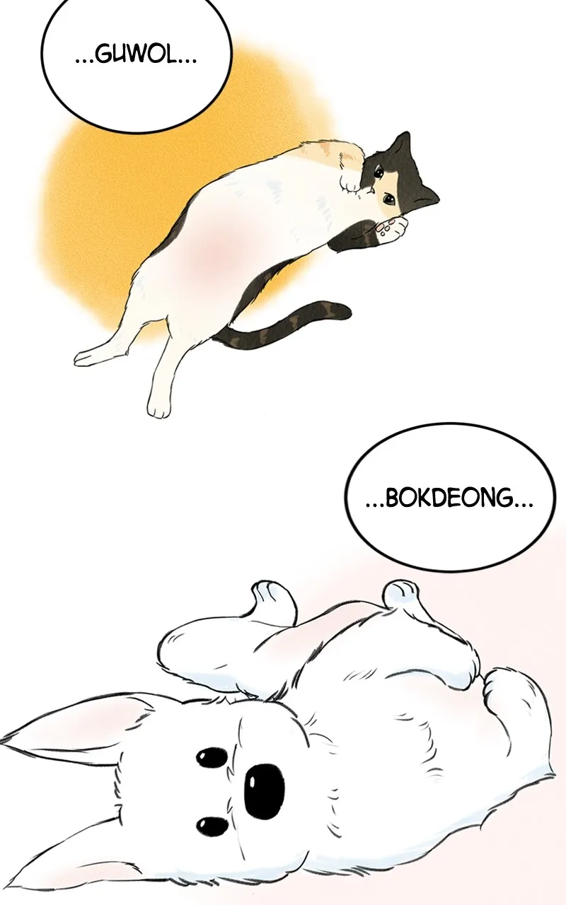 Want to See My Cat? Chapter 1 page 61 - 