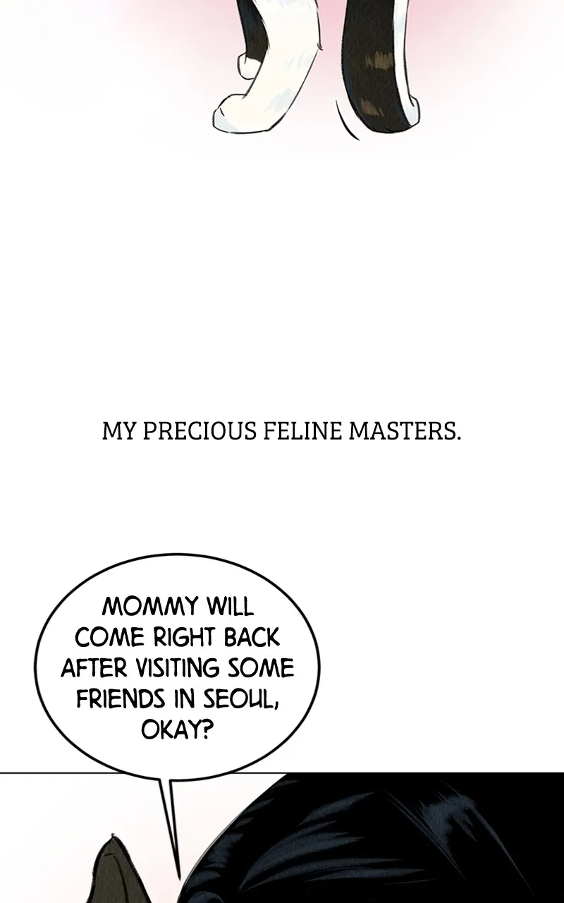 Want to See My Cat? Chapter 1 page 10 - 