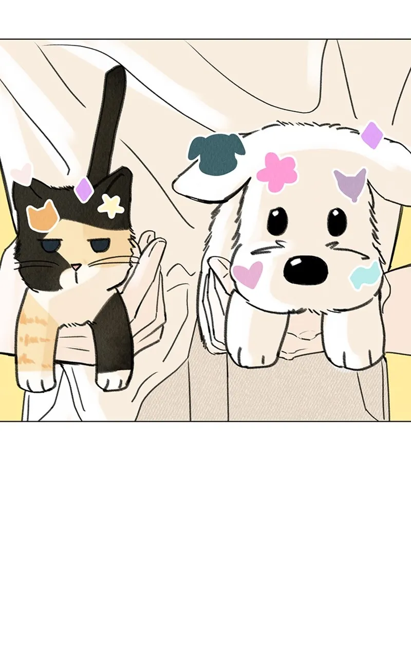 Want to See My Cat? Chapter 11 page 1 - 