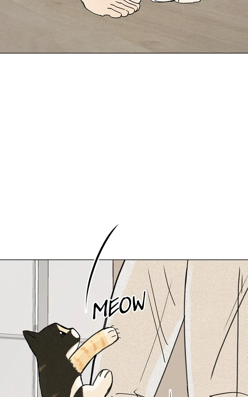 Want to See My Cat? Chapter 11 page 24 - 