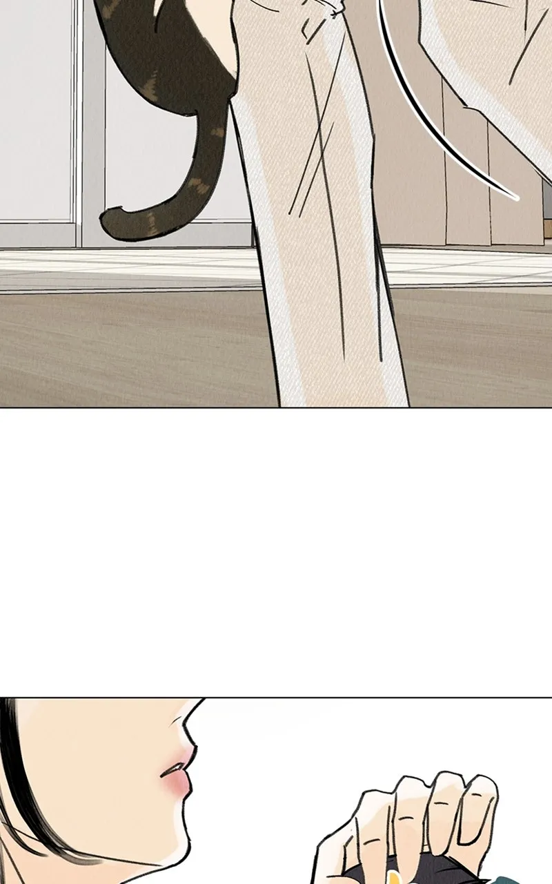 Want to See My Cat? Chapter 11 page 25 - 