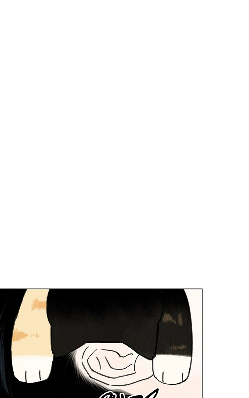 Want to See My Cat? Chapter 12 page 8 - 