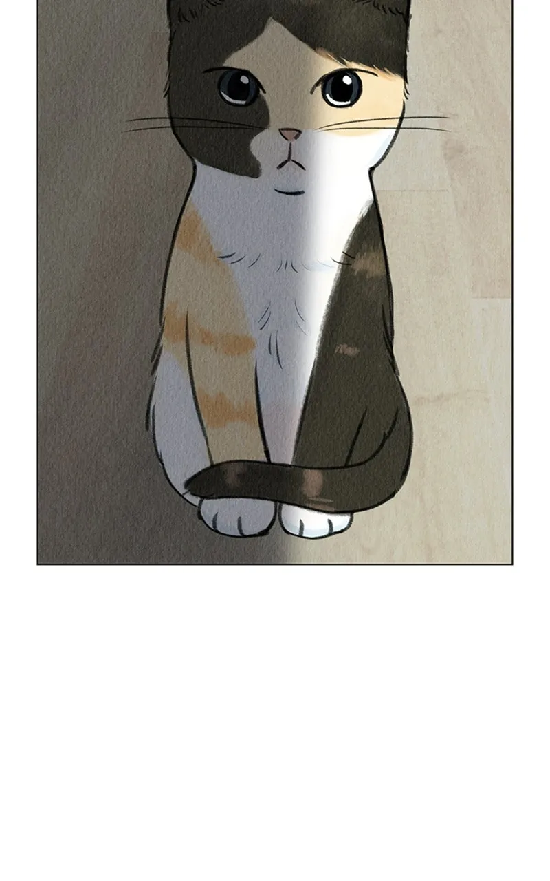 Want to See My Cat? Chapter 13 page 77 - 