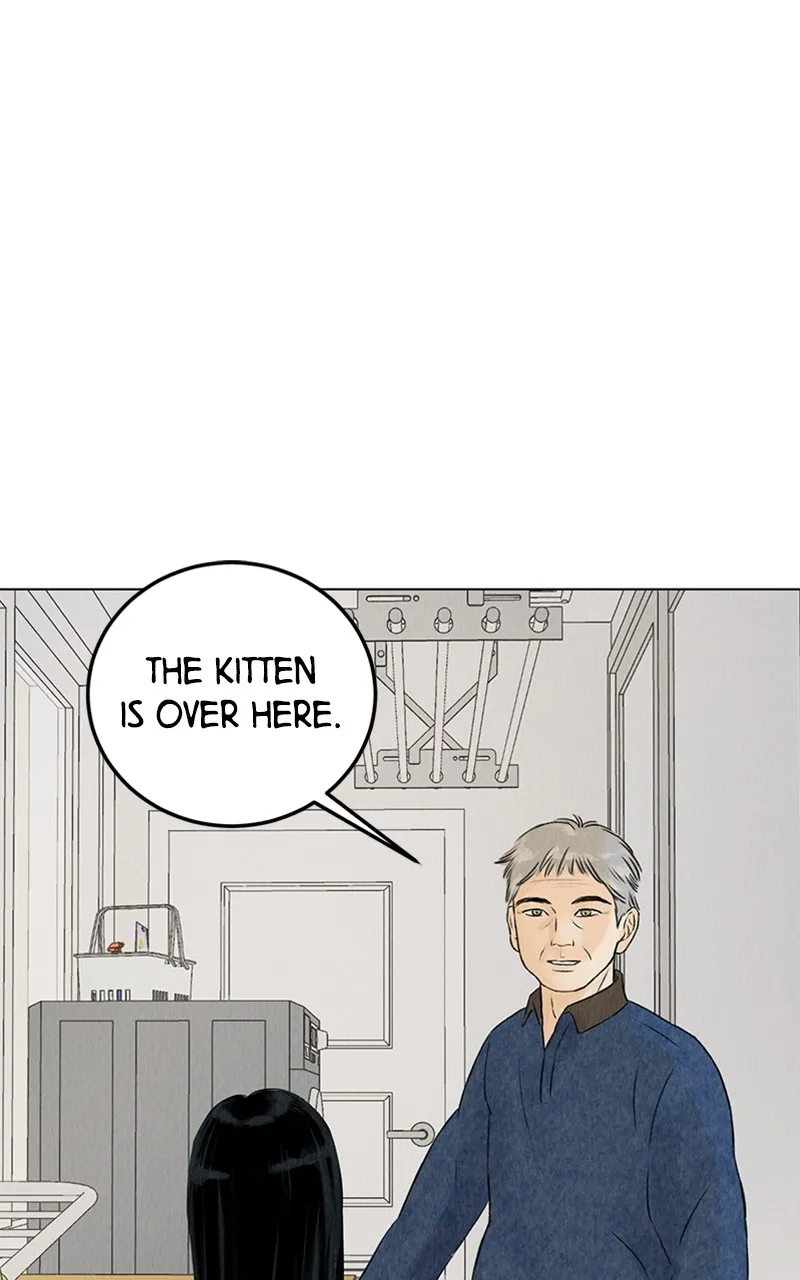Want to See My Cat? Chapter 2 page 1 - 