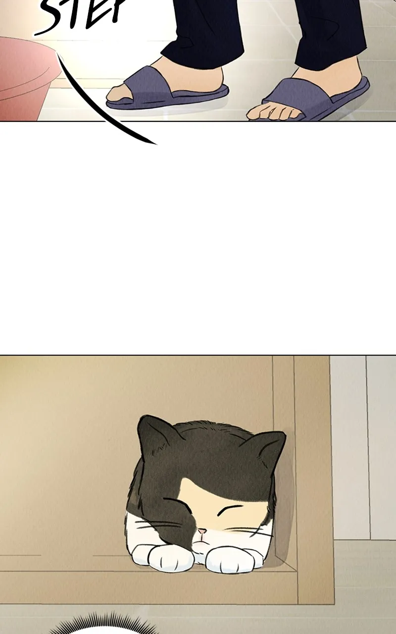 Want to See My Cat? Chapter 2 page 3 - 