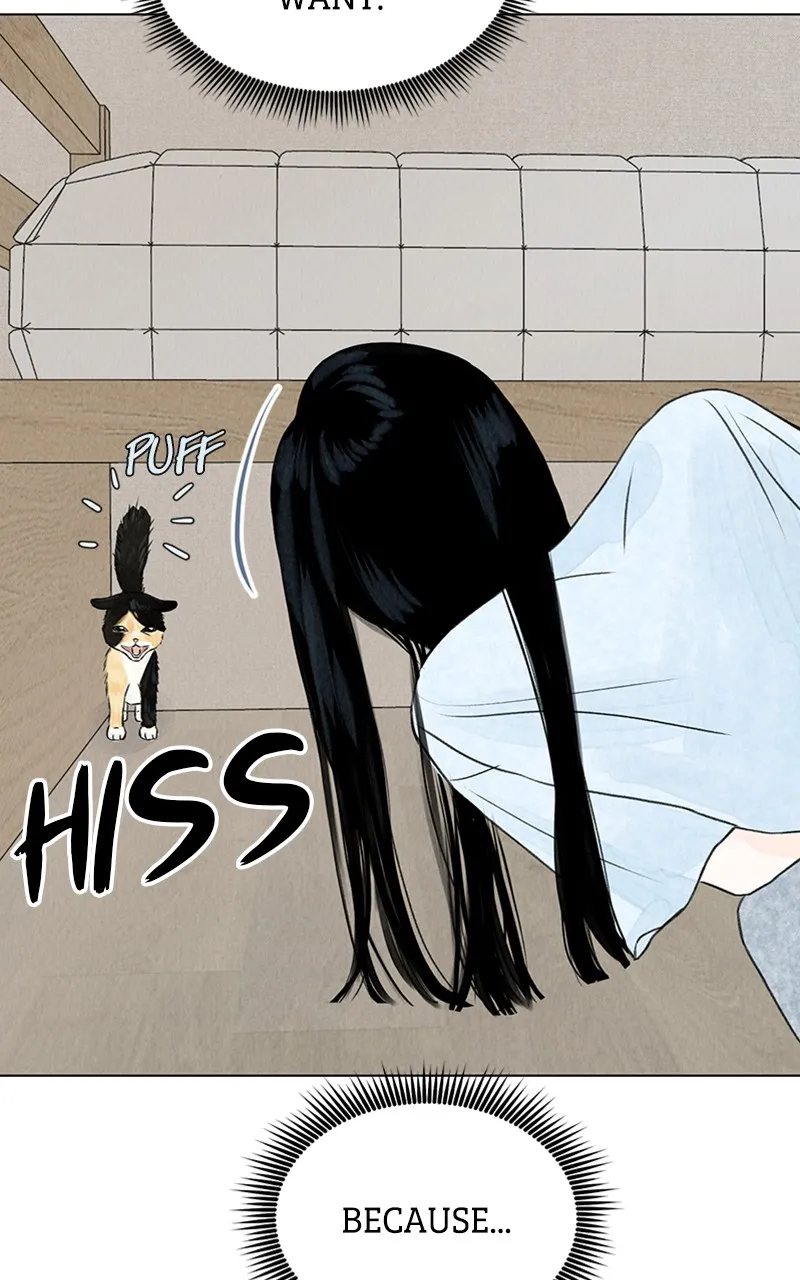 Want to See My Cat? Chapter 2 page 24 - 