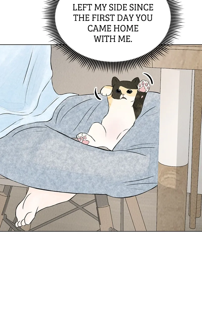 Want to See My Cat? Chapter 2 page 27 - 