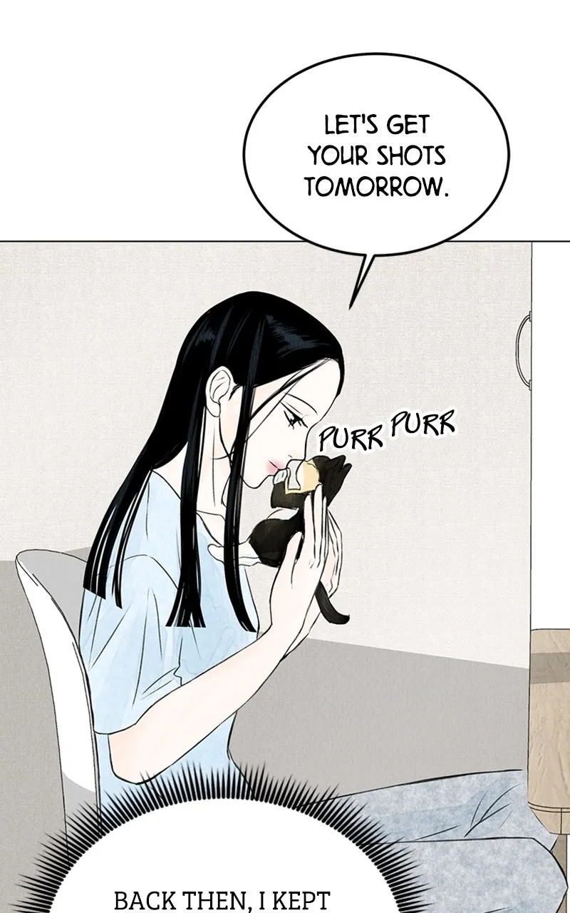 Want to See My Cat? Chapter 2 page 28 - 