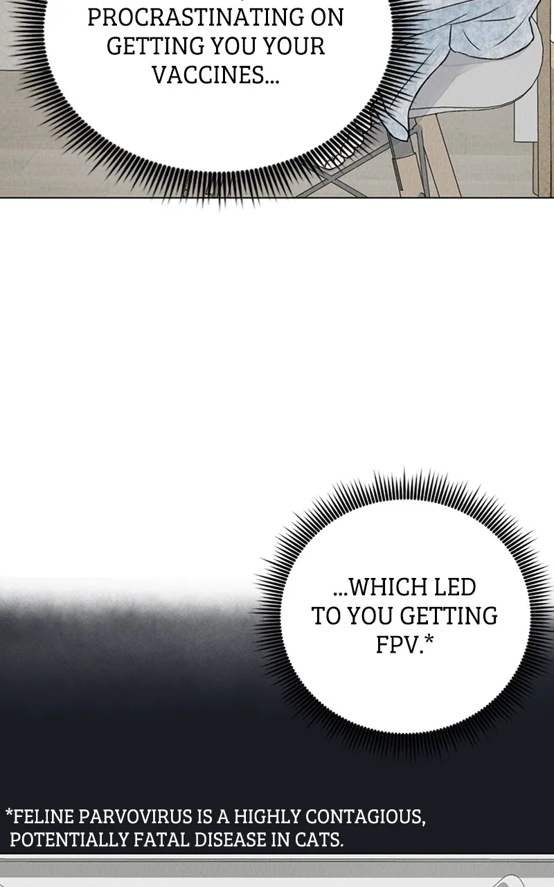 Want to See My Cat? Chapter 2 page 29 - 
