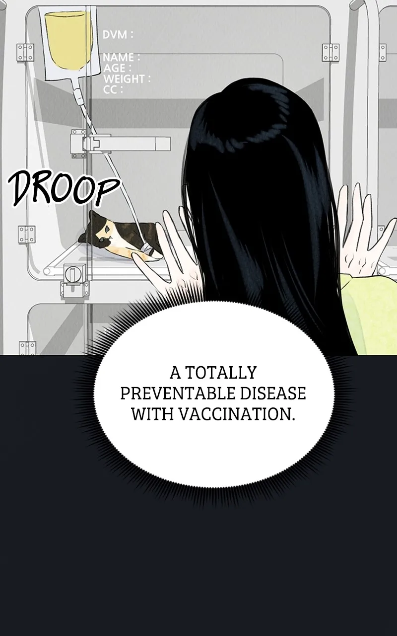 Want to See My Cat? Chapter 2 page 30 - 