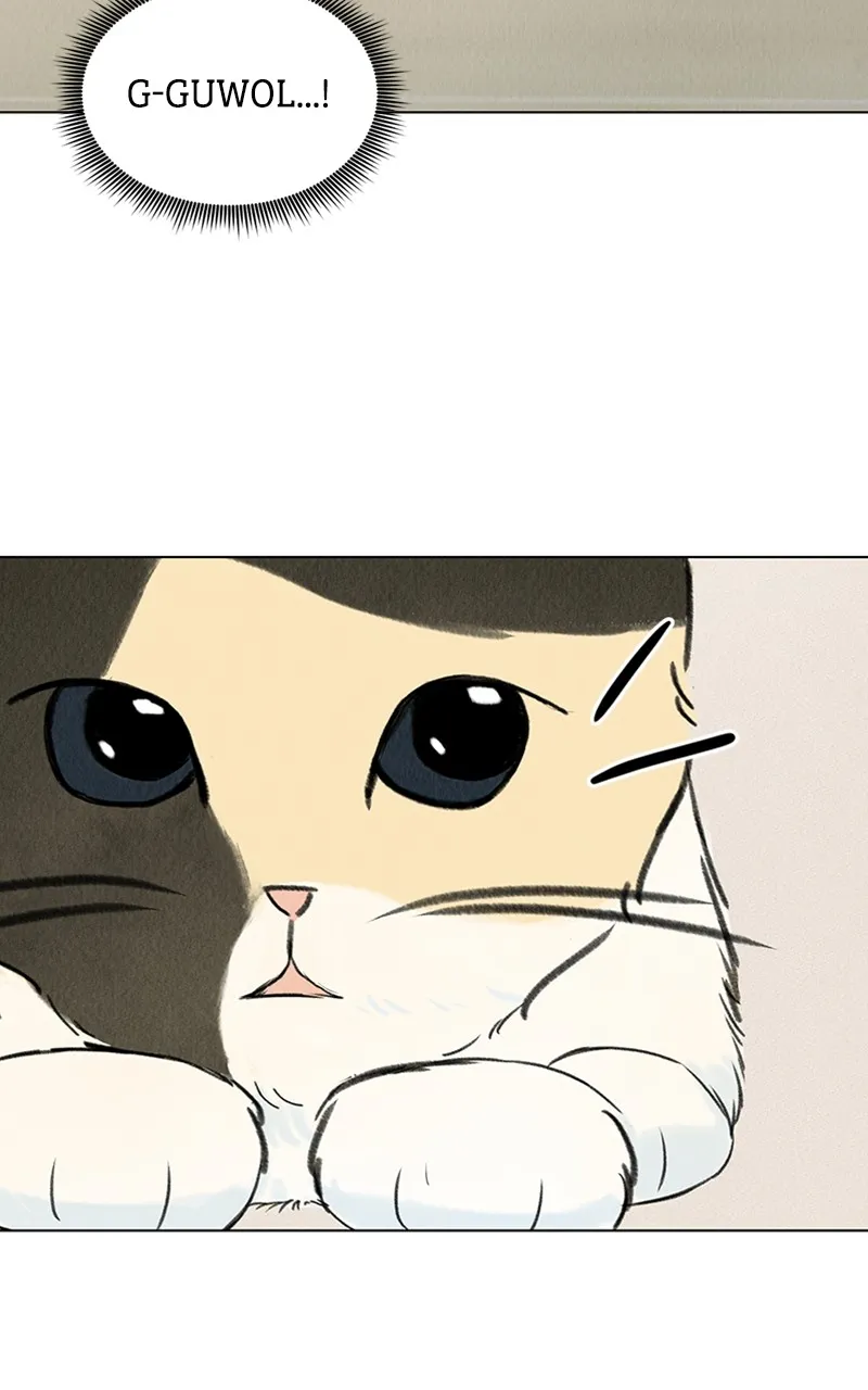 Want to See My Cat? Chapter 2 page 4 - 