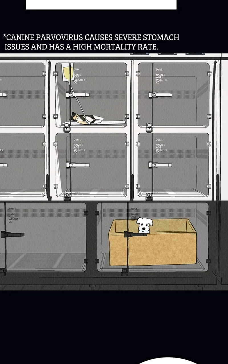 Want to See My Cat? Chapter 2 page 35 - 