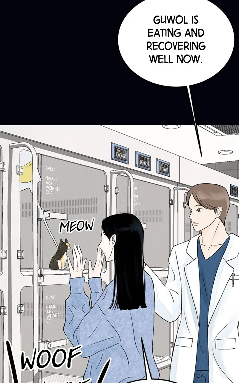 Want to See My Cat? Chapter 2 page 36 - 
