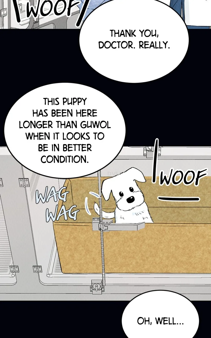 Want to See My Cat? Chapter 2 page 37 - 