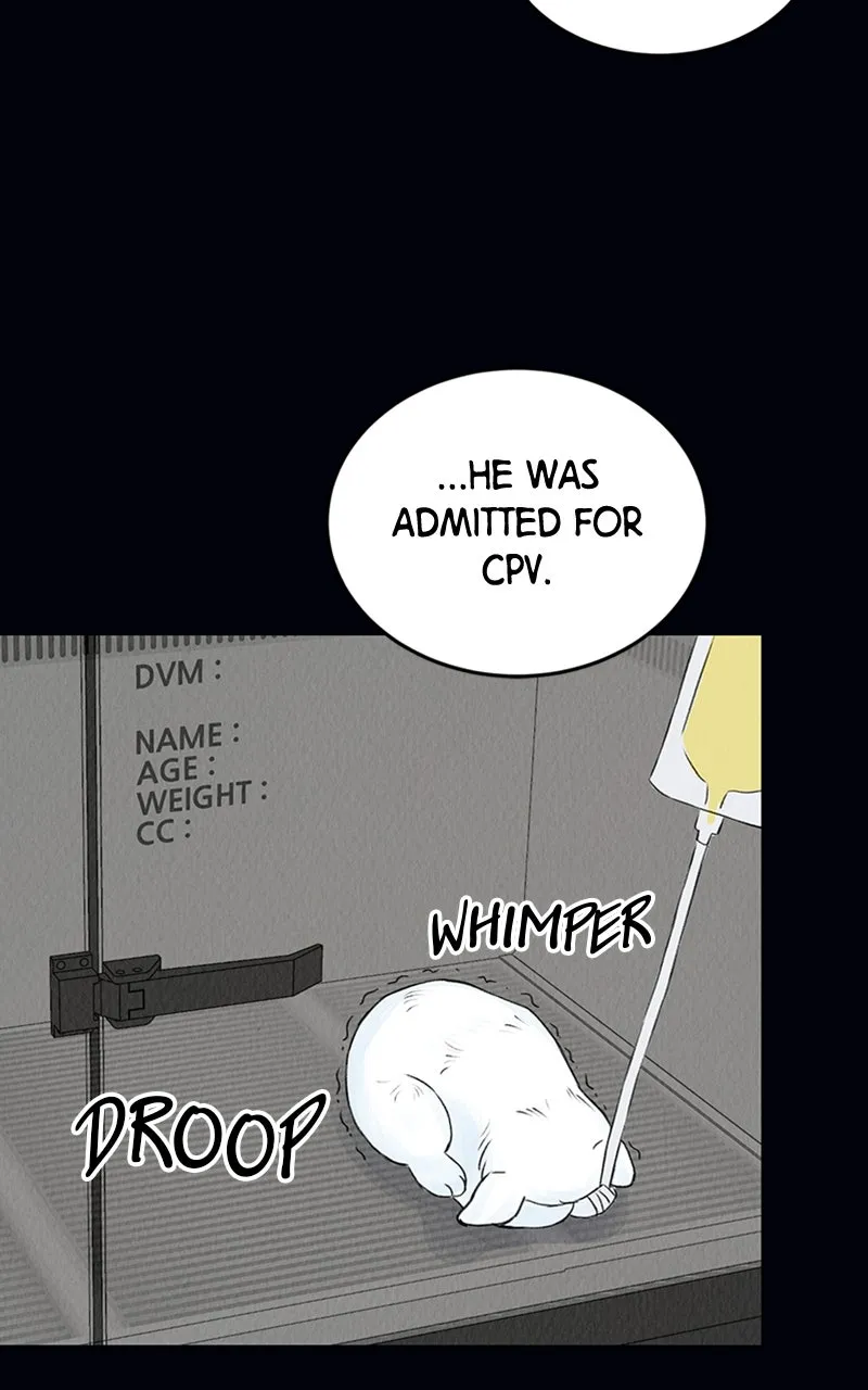 Want to See My Cat? Chapter 2 page 38 - 