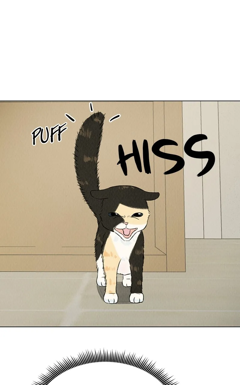 Want to See My Cat? Chapter 2 page 5 - 