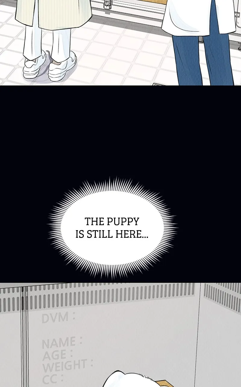 Want to See My Cat? Chapter 2 page 47 - 