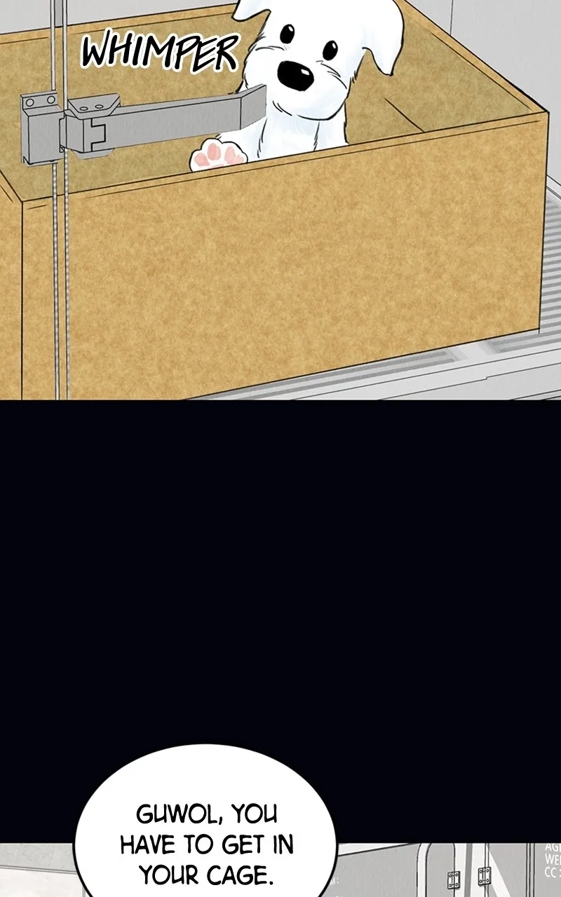 Want to See My Cat? Chapter 2 page 48 - 