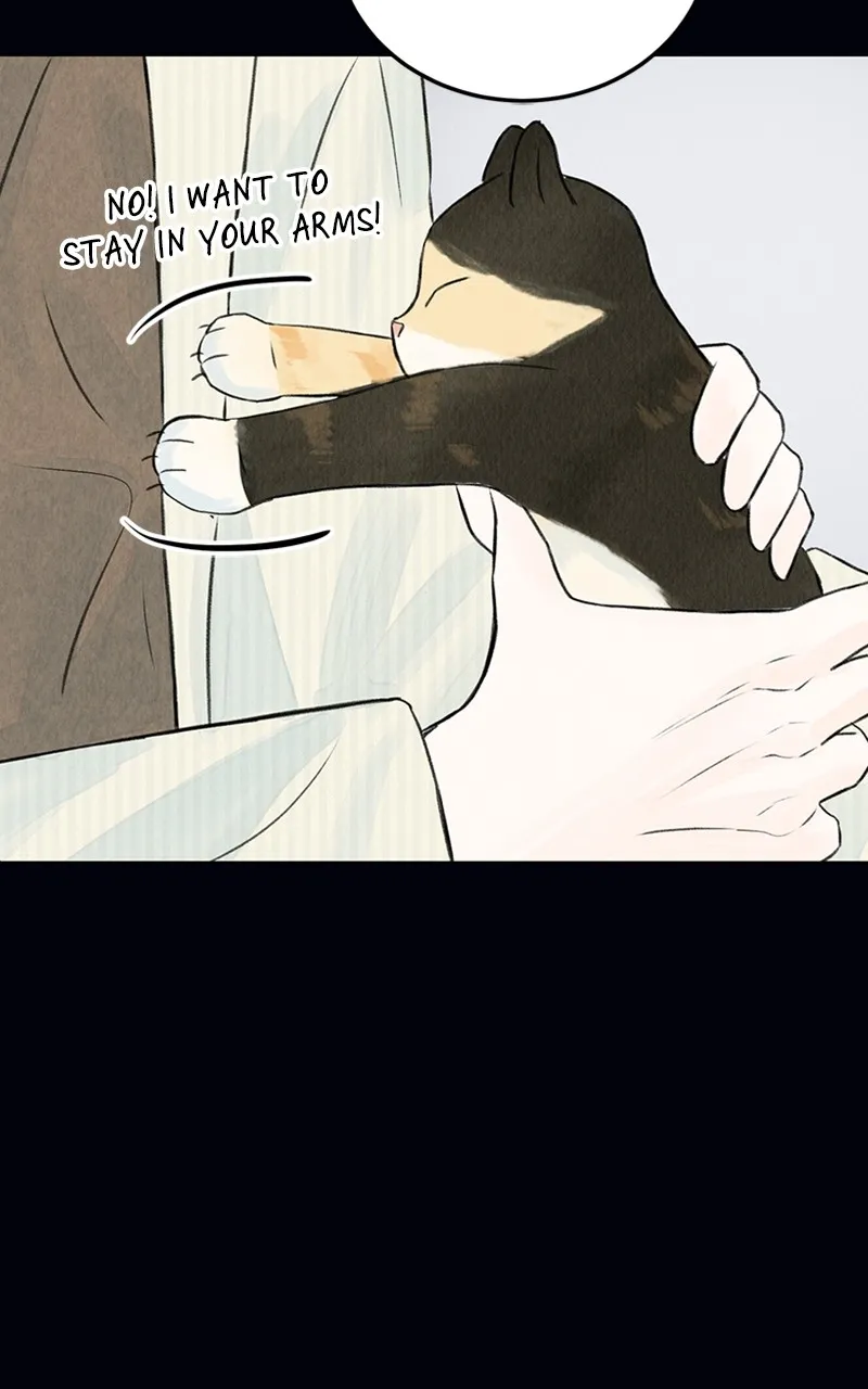 Want to See My Cat? Chapter 2 page 50 - 