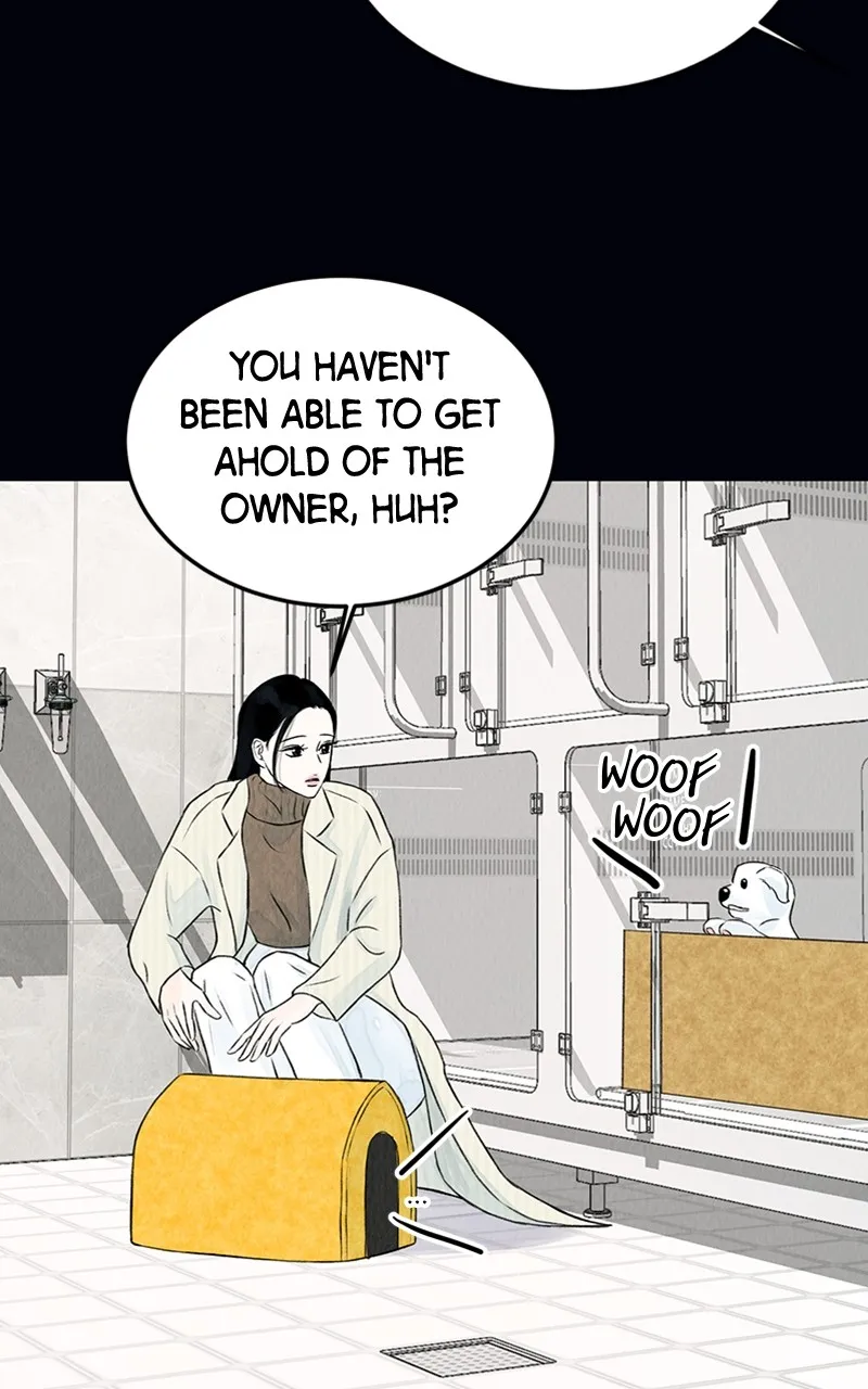 Want to See My Cat? Chapter 2 page 52 - 