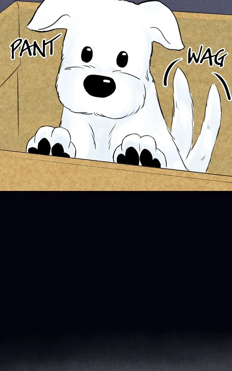 Want to See My Cat? Chapter 2 page 57 - 