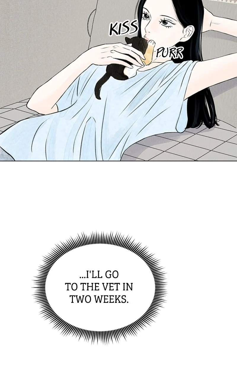 Want to See My Cat? Chapter 2 page 61 - 