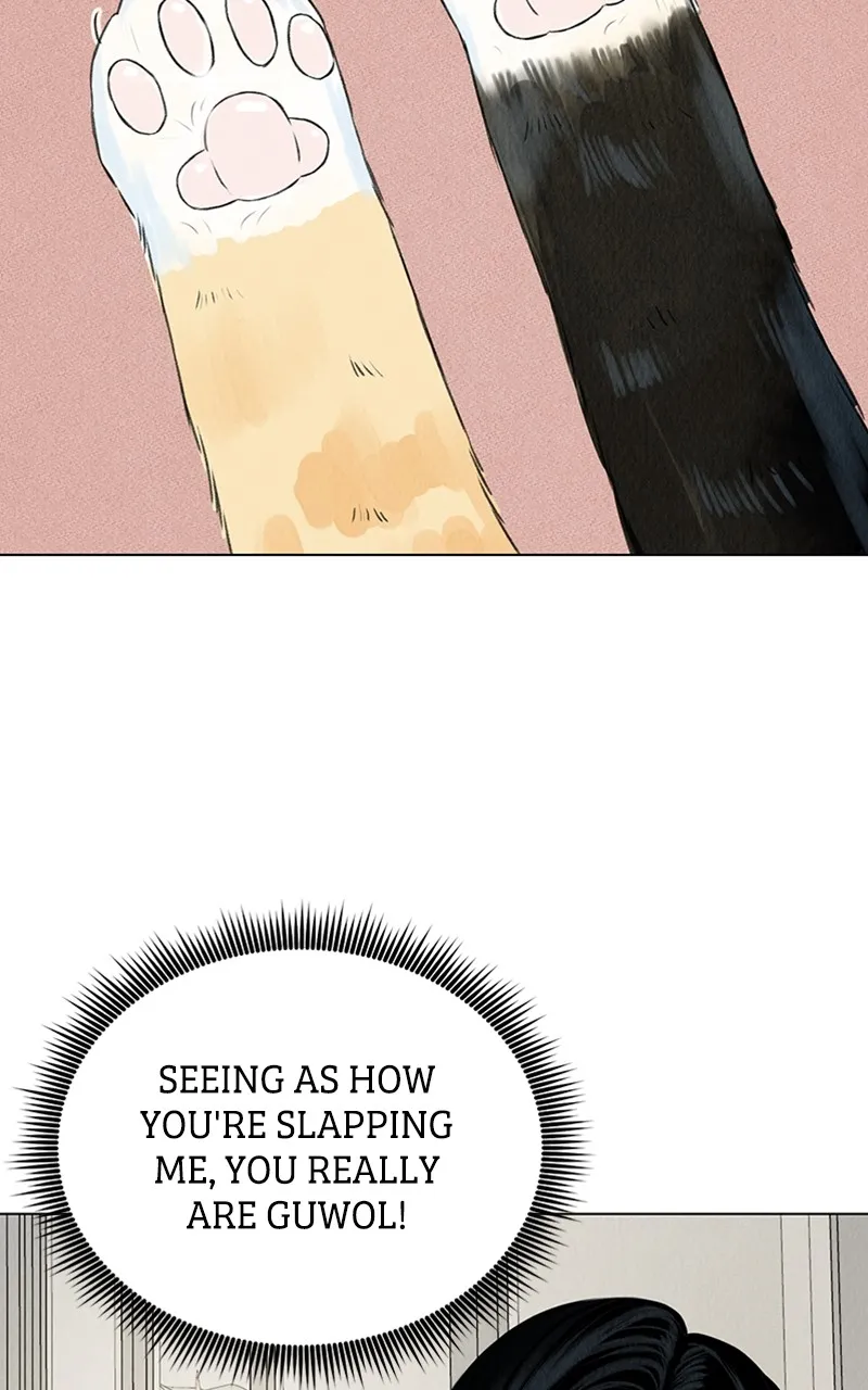 Want to See My Cat? Chapter 2 page 8 - 