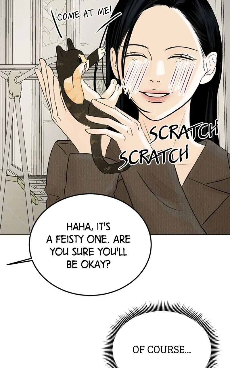 Want to See My Cat? Chapter 2 page 9 - 