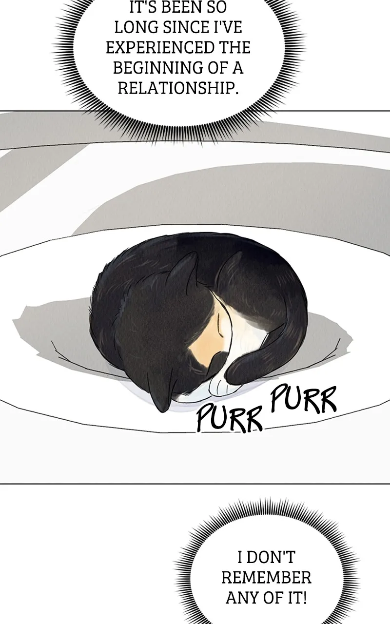 Want to See My Cat? Chapter 3 page 4 - 
