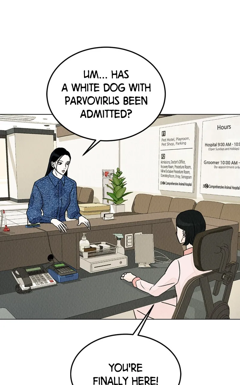 Want to See My Cat? Chapter 3 page 82 - 