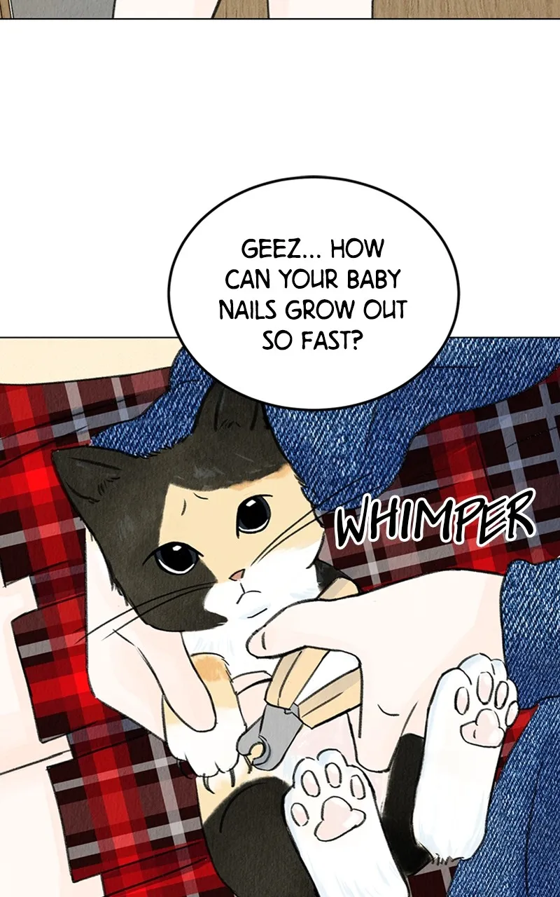 Want to See My Cat? Chapter 4 page 11 - 